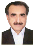 Hassan Sadighi