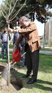 رییس دانشگاه در مراسم روز درختکاری